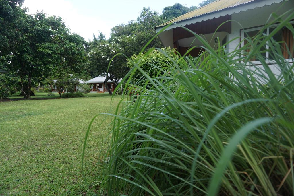 Chalet Bamboo Vert La Digue Exteriér fotografie